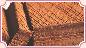 生巧克力蛋糕5入組