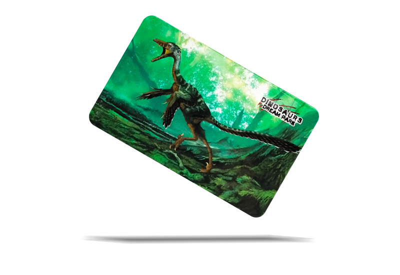 恐龍夢公園 恐龍卡片貼紙-綠