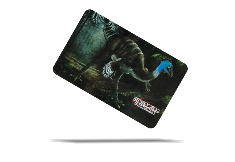 恐龍夢公園 恐龍卡片貼紙-綠